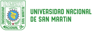 Universidad Nacional de San Martín